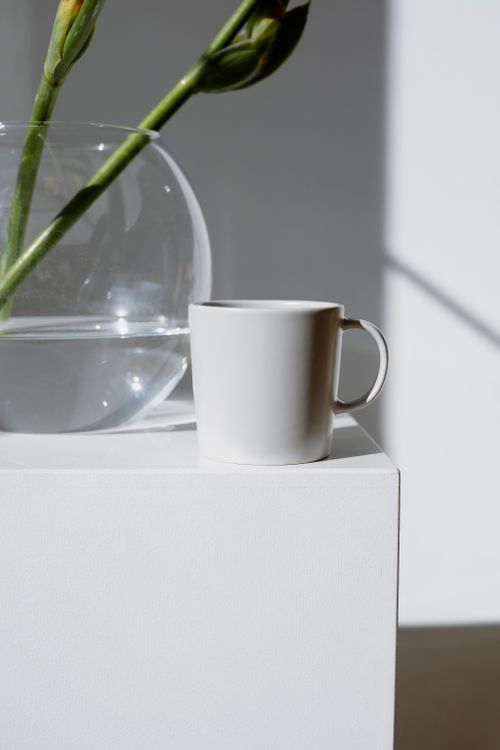 Free A minimalist setup featuring a white mug and a glass vase with green stems in soft sunlight. Stock Photo