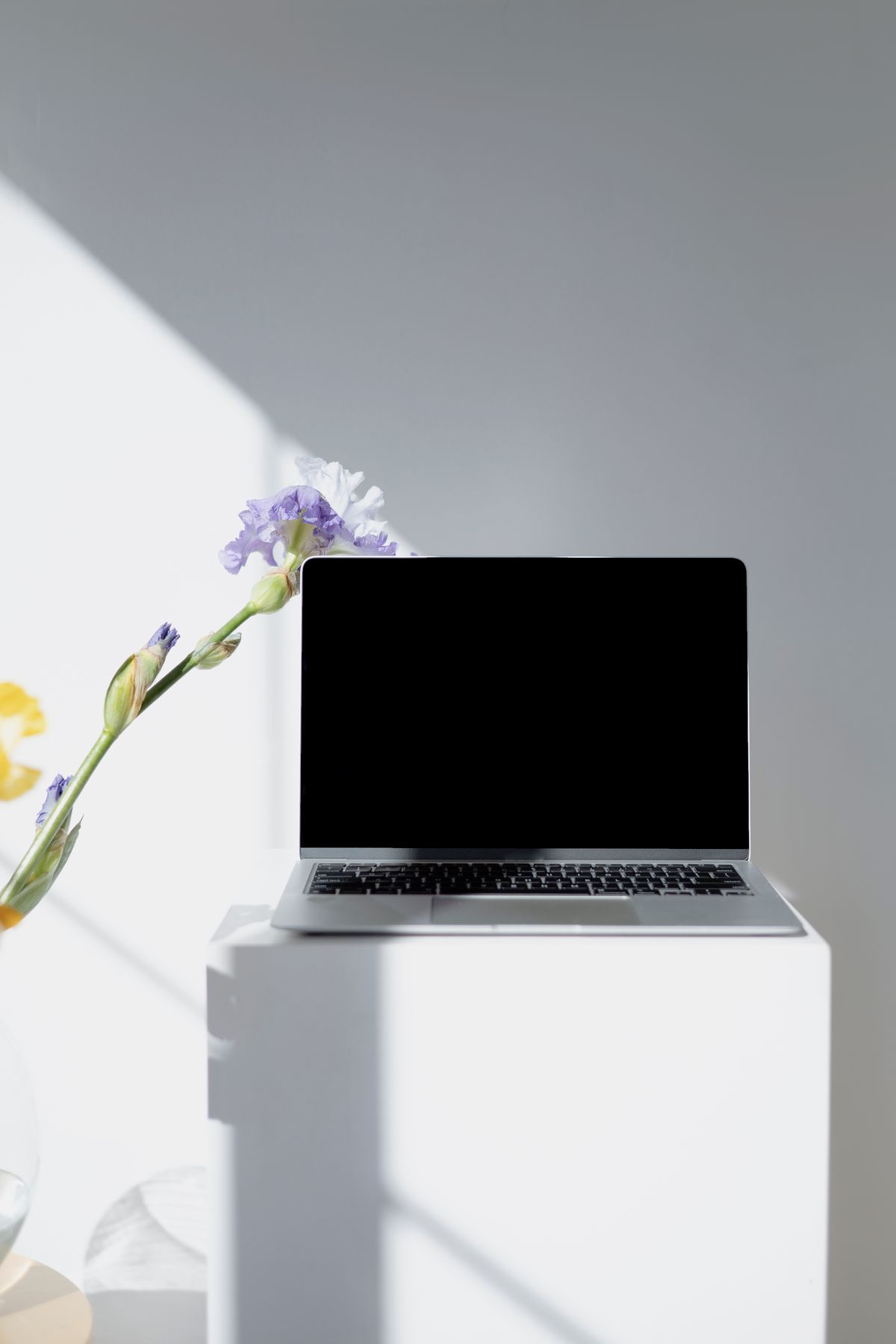 Calm clinical workspace