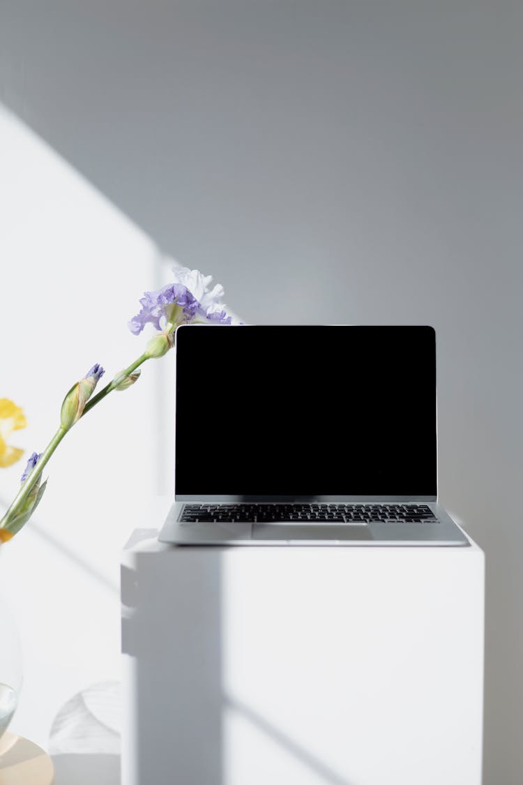 Laptop And Flower With Natural Light