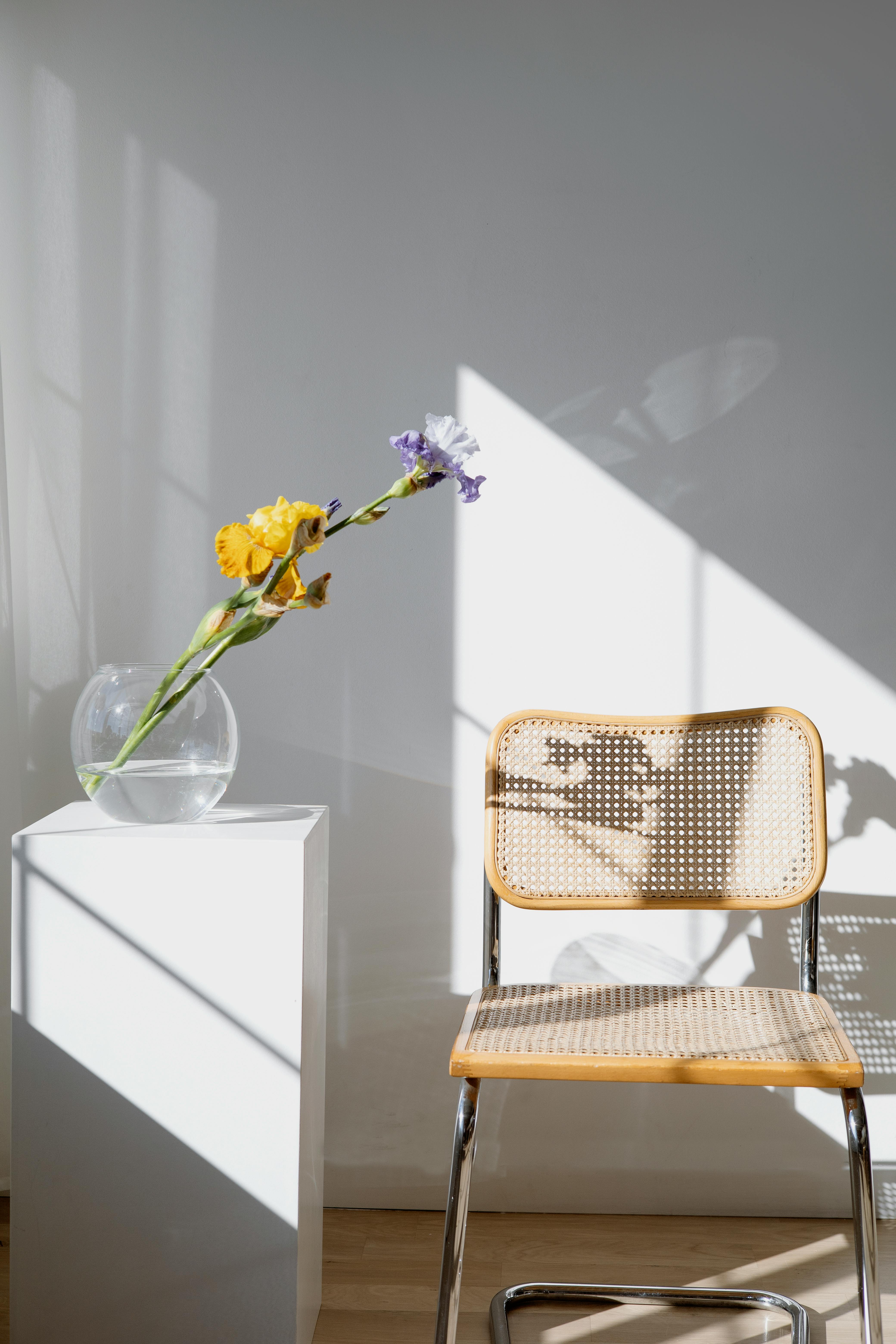 Free Sunlit corner with a contemporary chair and flowers in a glass vase. Stock Photo