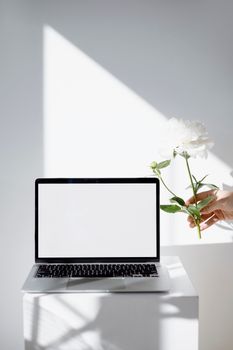 A minimalist setup featuring a blank laptop screen with a single white flower held by a hand.
