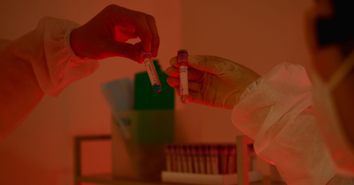 Molbio Diagnostics Targets ₹940 Crore in IPO to Boost Growth
