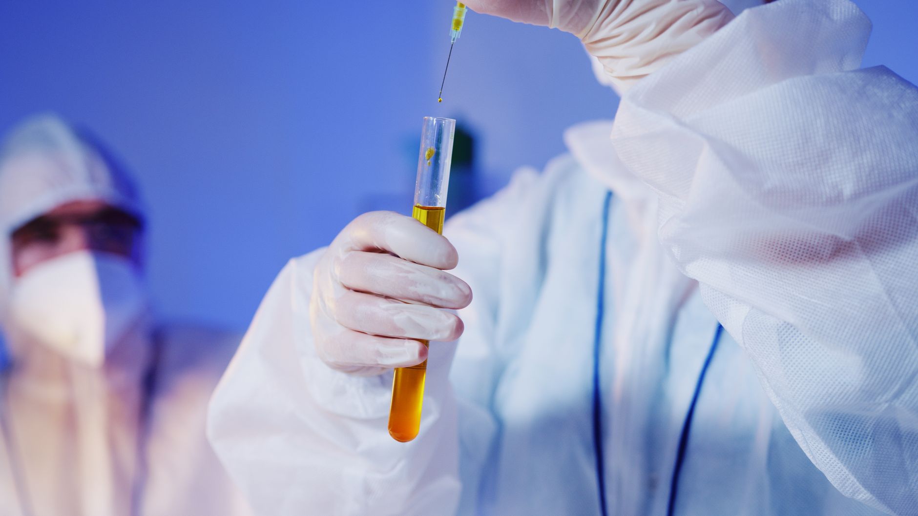 Unveiling Ancestry Navigating Free Online Genetic Tests