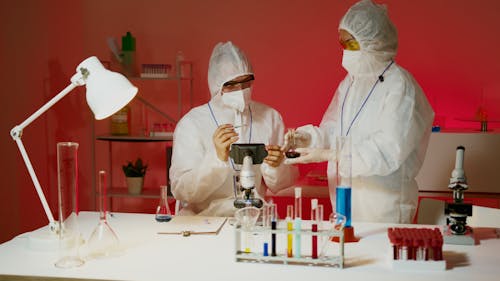 Two People Working in a Laboratory