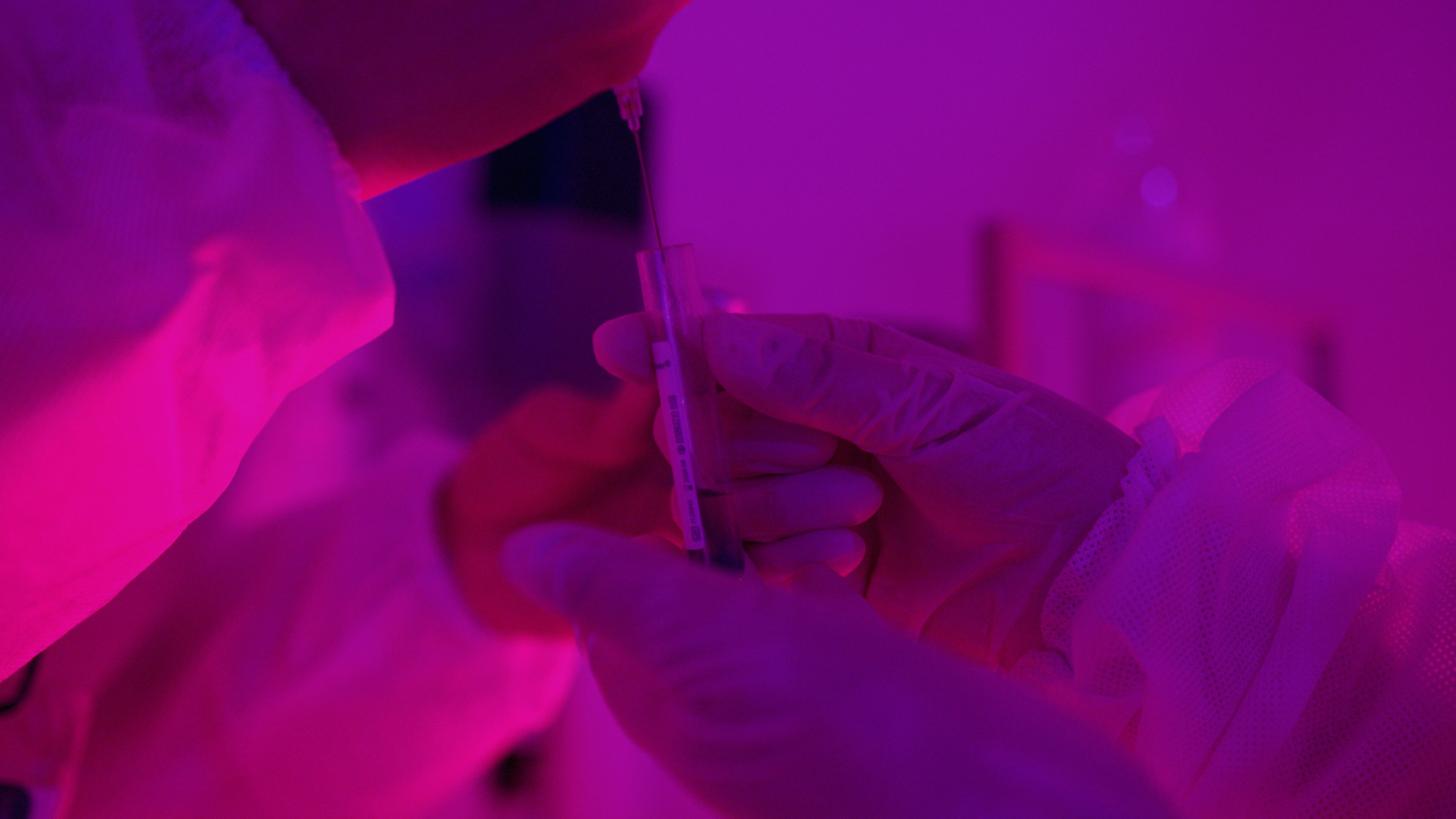 Chemical Engineers Working In Laboratory Free Stock Photo