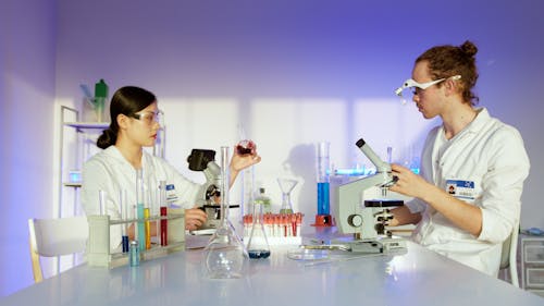 Two Researchers Performing a Test Tube