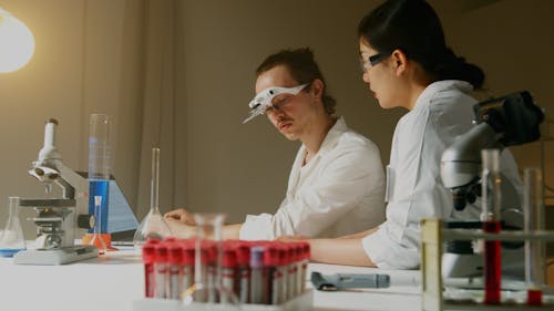 Free Scientists in the Laboratory  Stock Photo