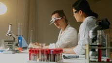 Free stock photo of adult, biology, biotechnology