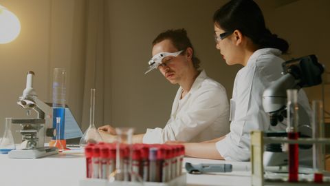 Impulsa tu doctorado con una estancia de investigación internacional