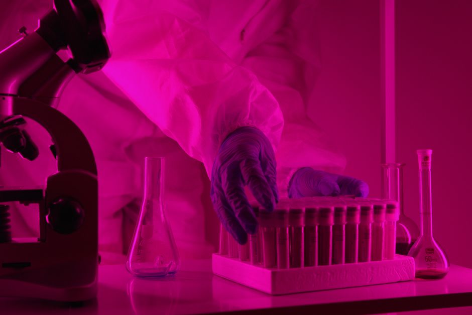 Scientist examining test tubes under pink laboratory lighting — the 2023 Stanford ibogaine study found reductions in PTSD, depression, and anxiety that rarely appear in pharmacological research