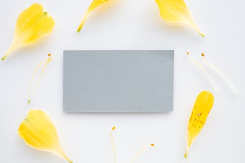 Flatlay Photo of Gray Paper