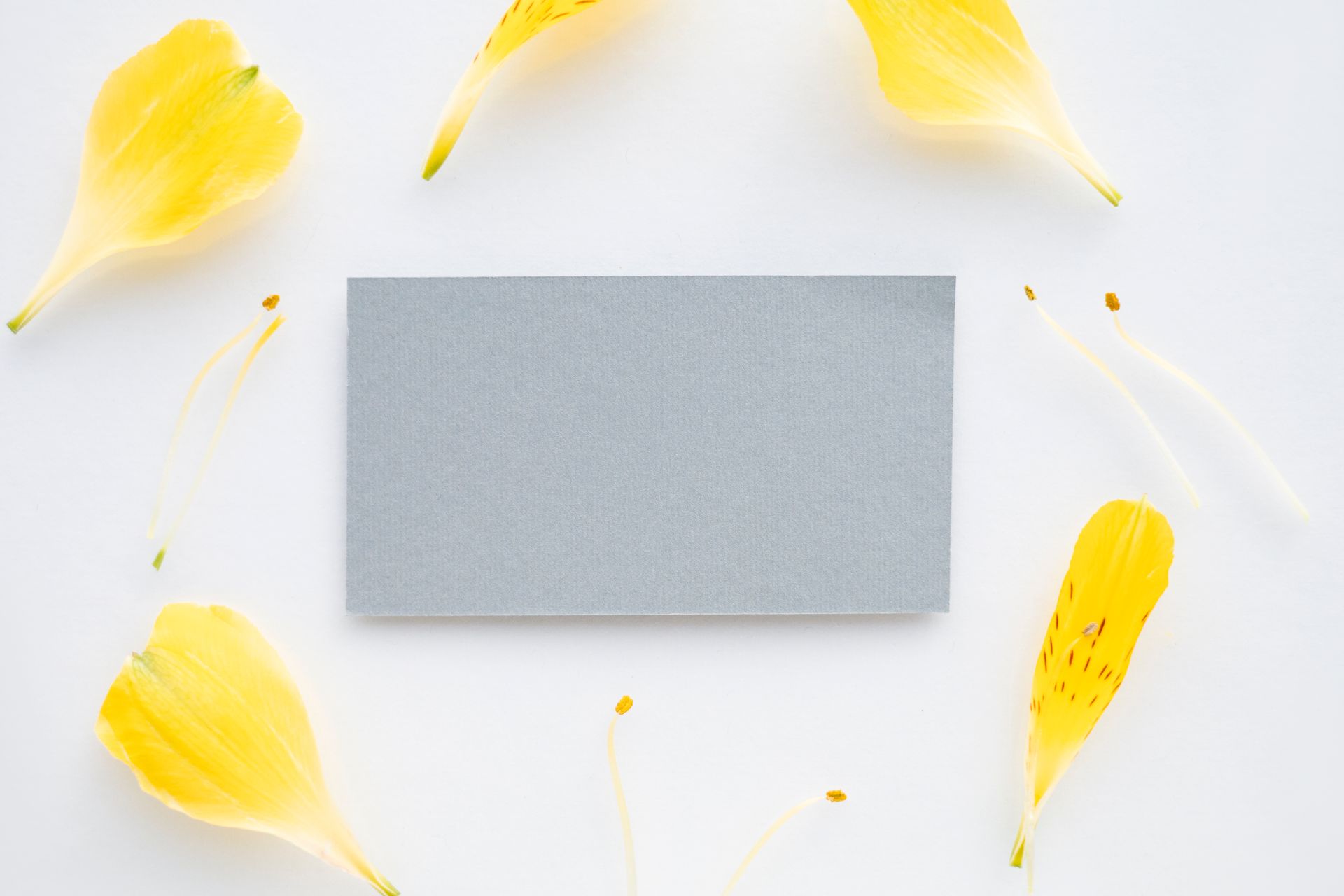 Top view of a blank card surrounded by yellow flower petals, perfect for invitations or announcements.