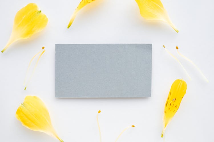 Flatlay Photo Of Gray Paper