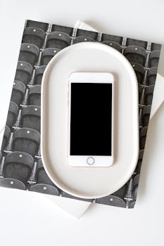 Overhead shot of a smartphone on an oval tray with a black-and-white backdrop.