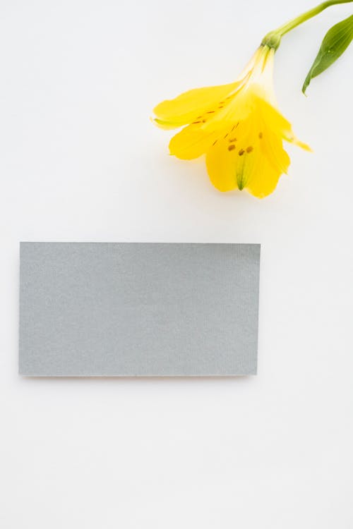 Gray Card by Yellow Flower on White Desk