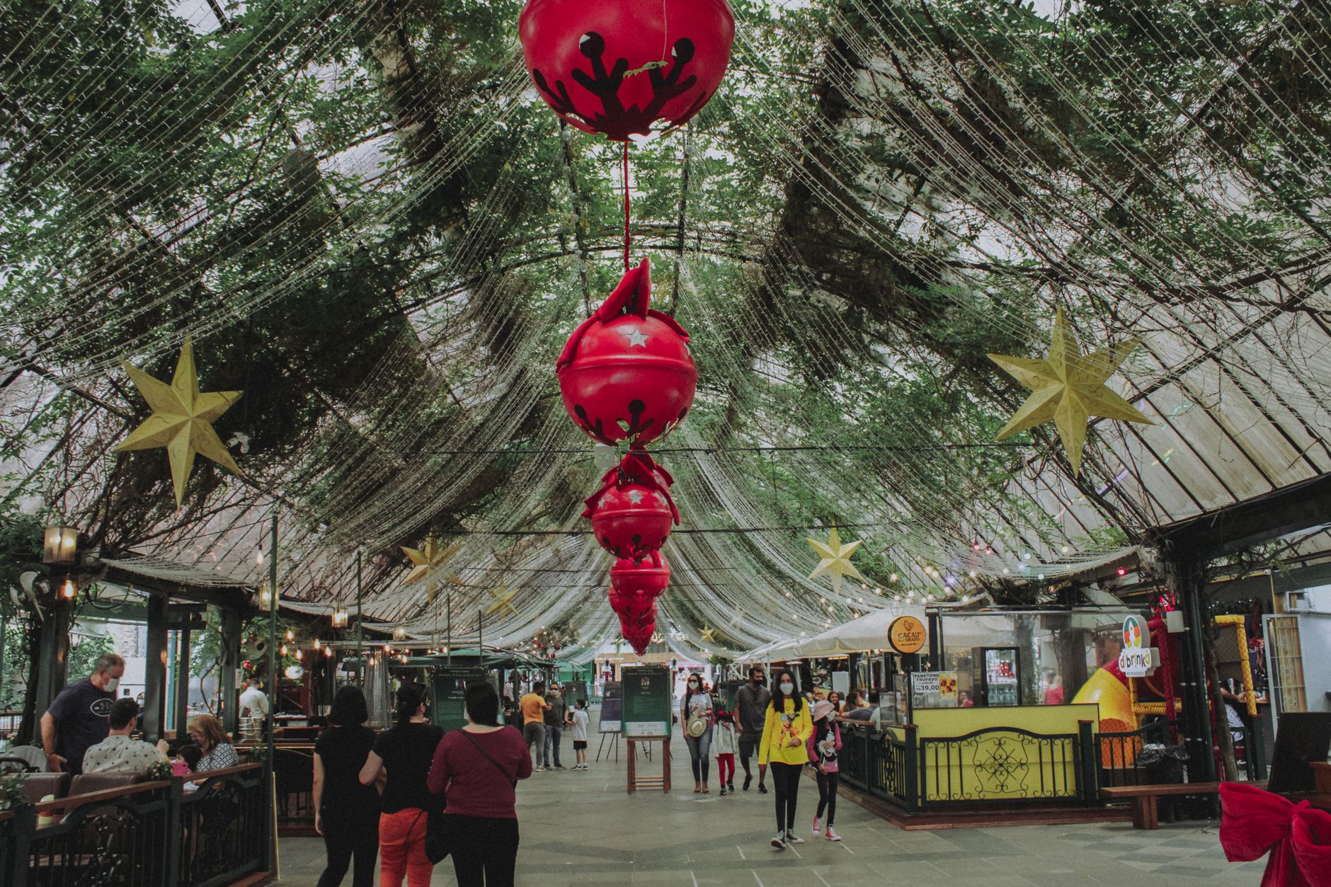 Celebrar Navidad en Brasil lejos de Casa