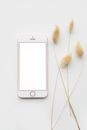 Iphone 6 on White Surface