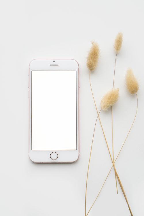 Free A minimalist mockup of a smartphone with a blank screen on a white surface beside decorative pampas grass. Stock Photo