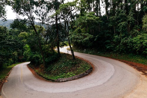 Curve of narrow road located in lush forest with tall deciduous trees against mountains and hills in daylight