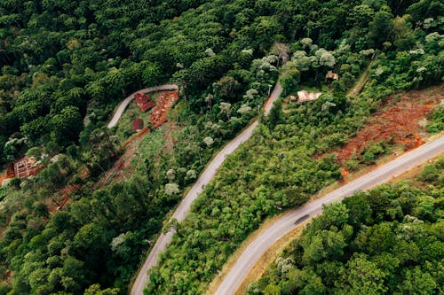 Aerial view of empty asphalt roads going through green forest in sunny day