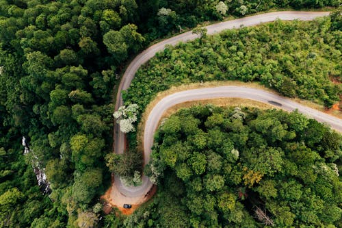 Spectacular drone view of curvy asphalt road between green trees with yellow tops