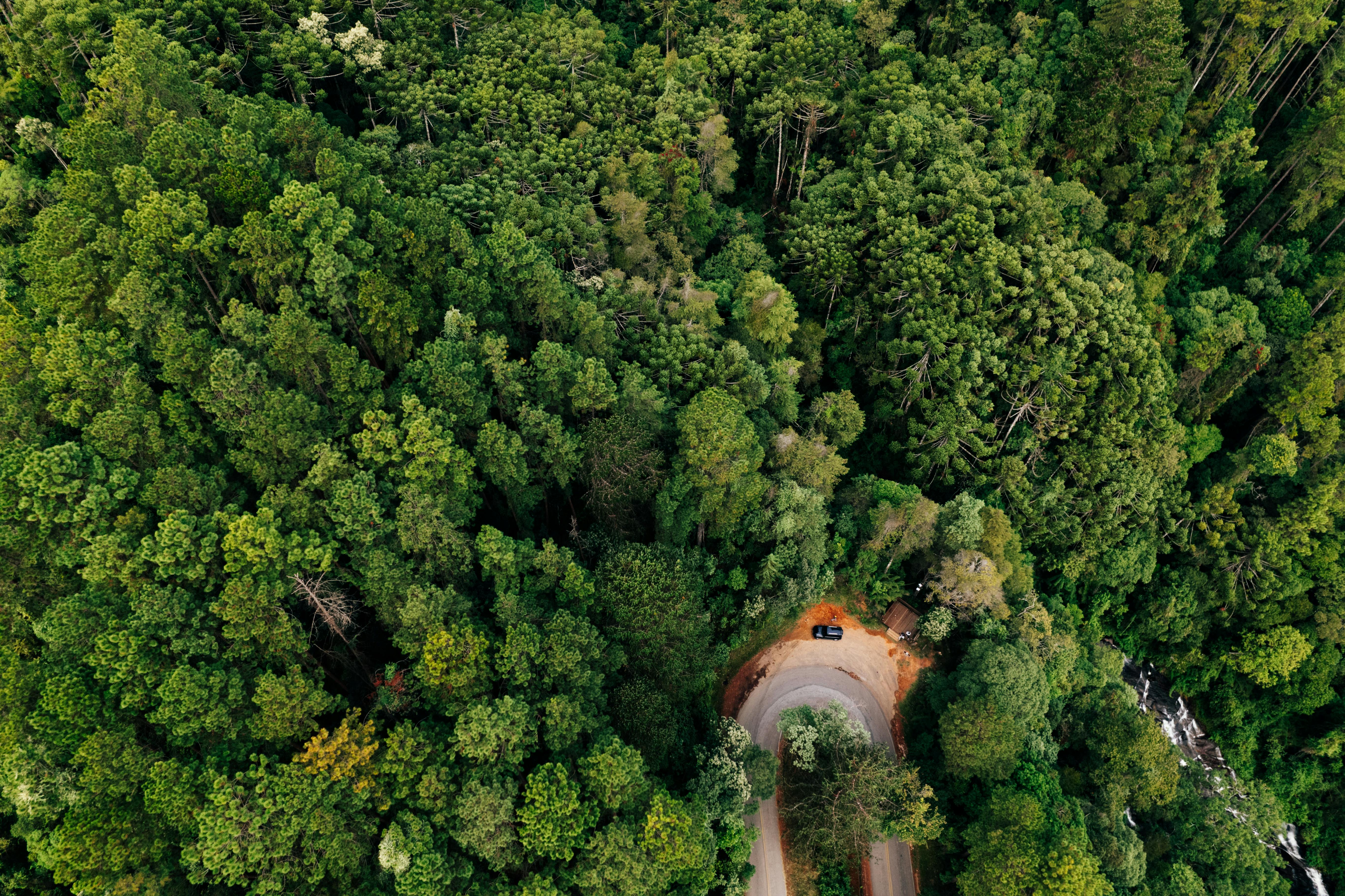 evs explained sustainability — Photo by Matheus Bertelli on Pexels