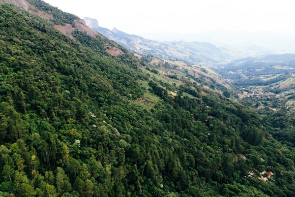 Natureza exuberante da Serra Fluminense em Petrópolis
