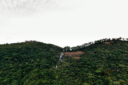 無料 山岳, 森林, 滝の無料の写真素材 写真素材