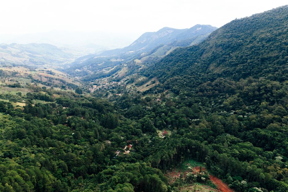 Unforgettable 3-Day Manaus Amazon Jungle Adventure Review: Your Ultimate Brazilian Rainforest Experience Review 2026 - Aerial view of lush green forest and rolling hills in São Bento do Sapucaí, Brazil.