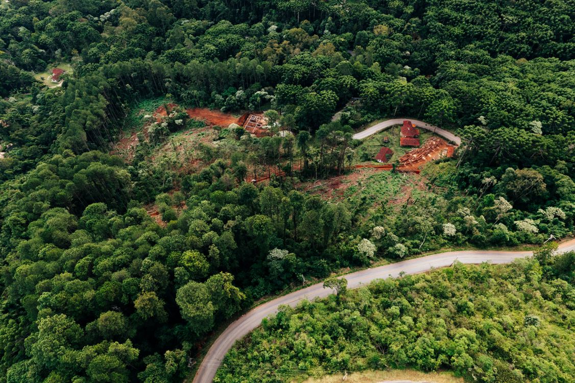 Aerial View of a Green Tropical Forest and Road · Free Stock Photo