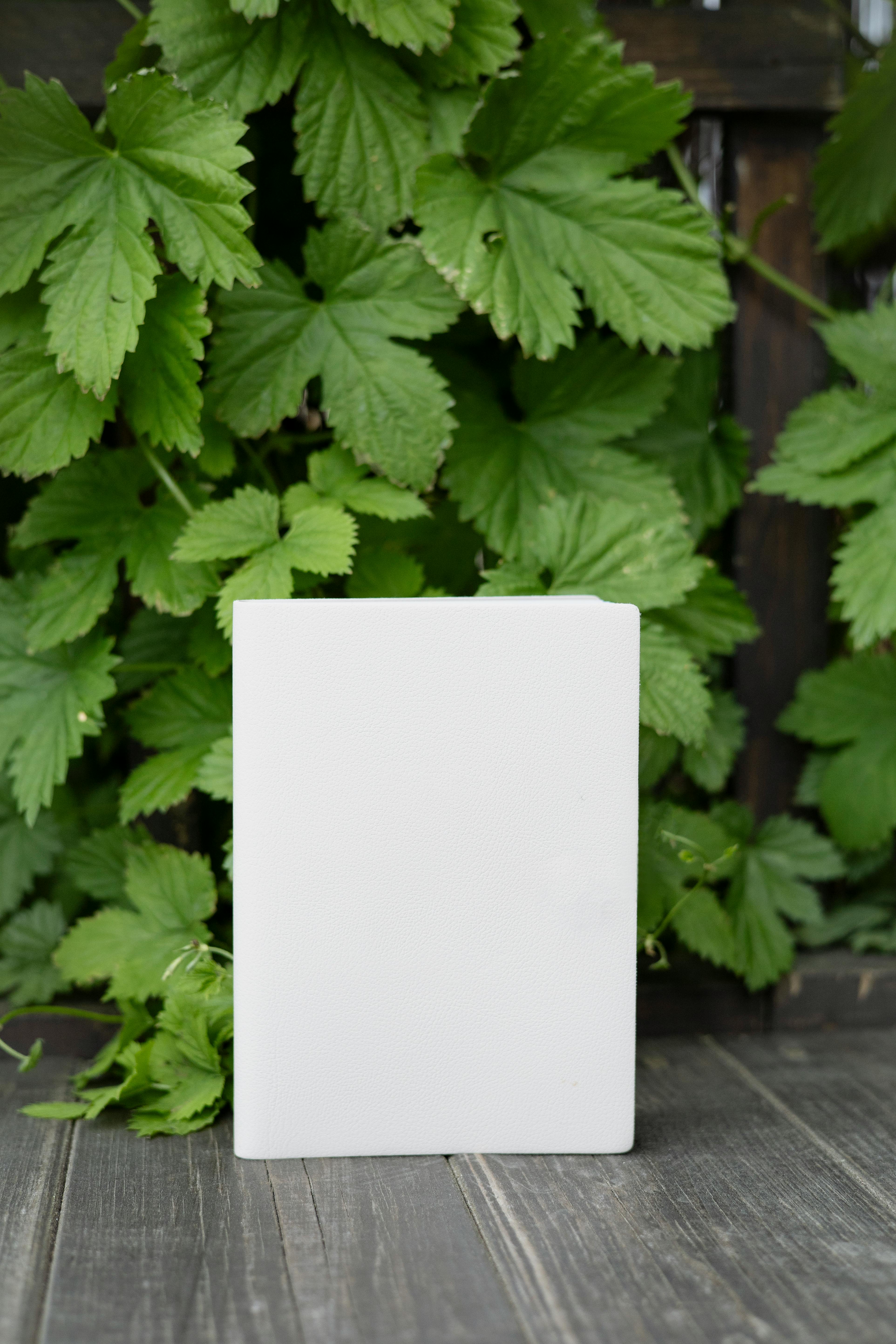 close up shot of a blank white book