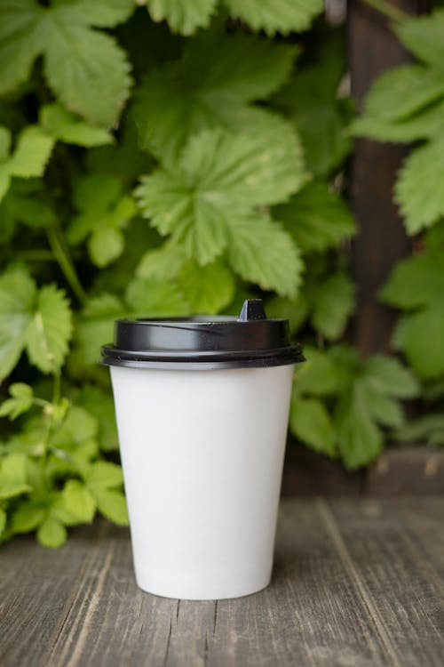 White Disposable Cup with Lid on a Wooden Surface