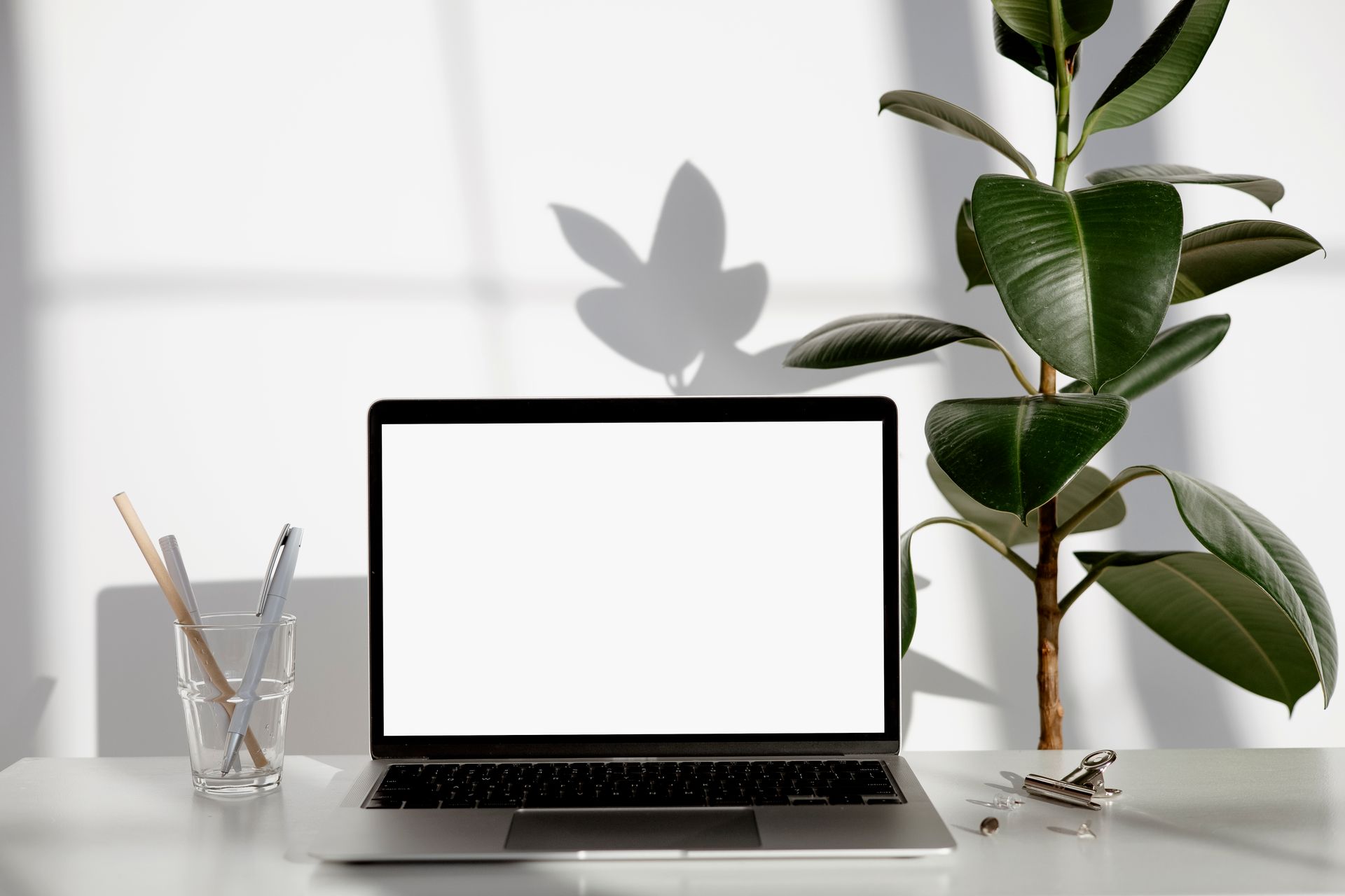 Modern workspace featuring a laptop with blank screen, green plant, and stationery on a white desk.