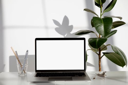 Free Modern workspace featuring a laptop with blank screen, green plant, and stationery on a white desk. Stock Photo