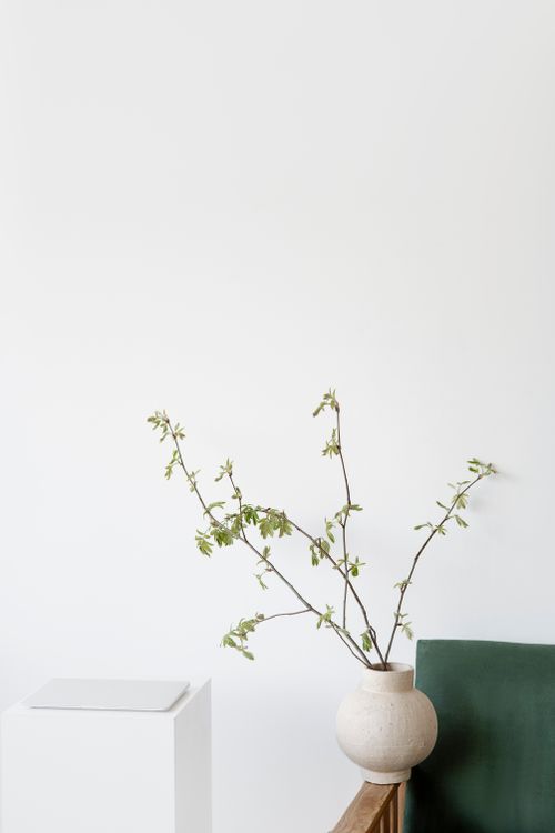 Free Elegant minimalist decor featuring a white vase with green branches on a wooden chair against a white wall. Stock Photo