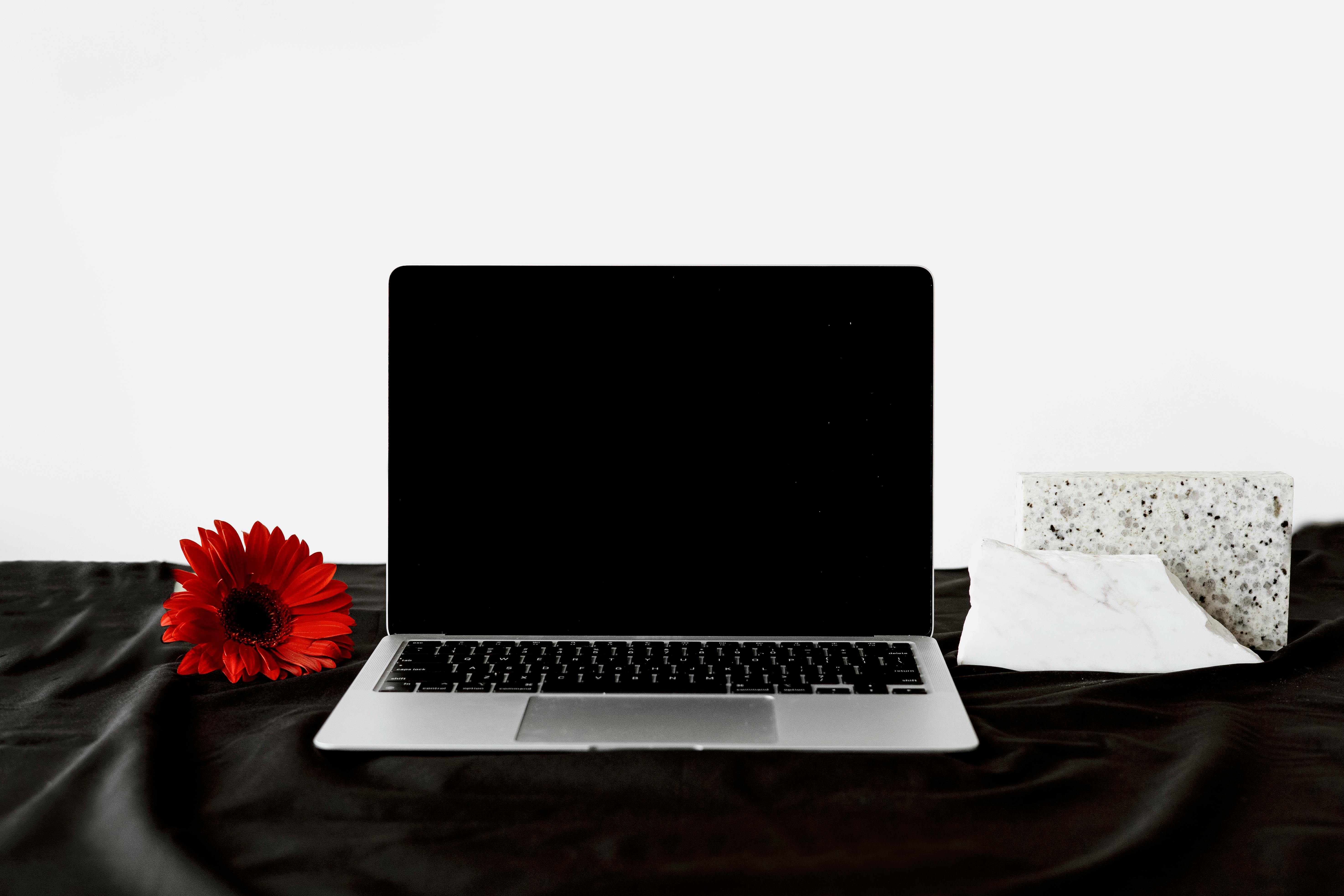 Spring Cleaning Goes Digital: Easy Ways to Declutter Your Online Life — Photo by Hanna Pad on Pexels