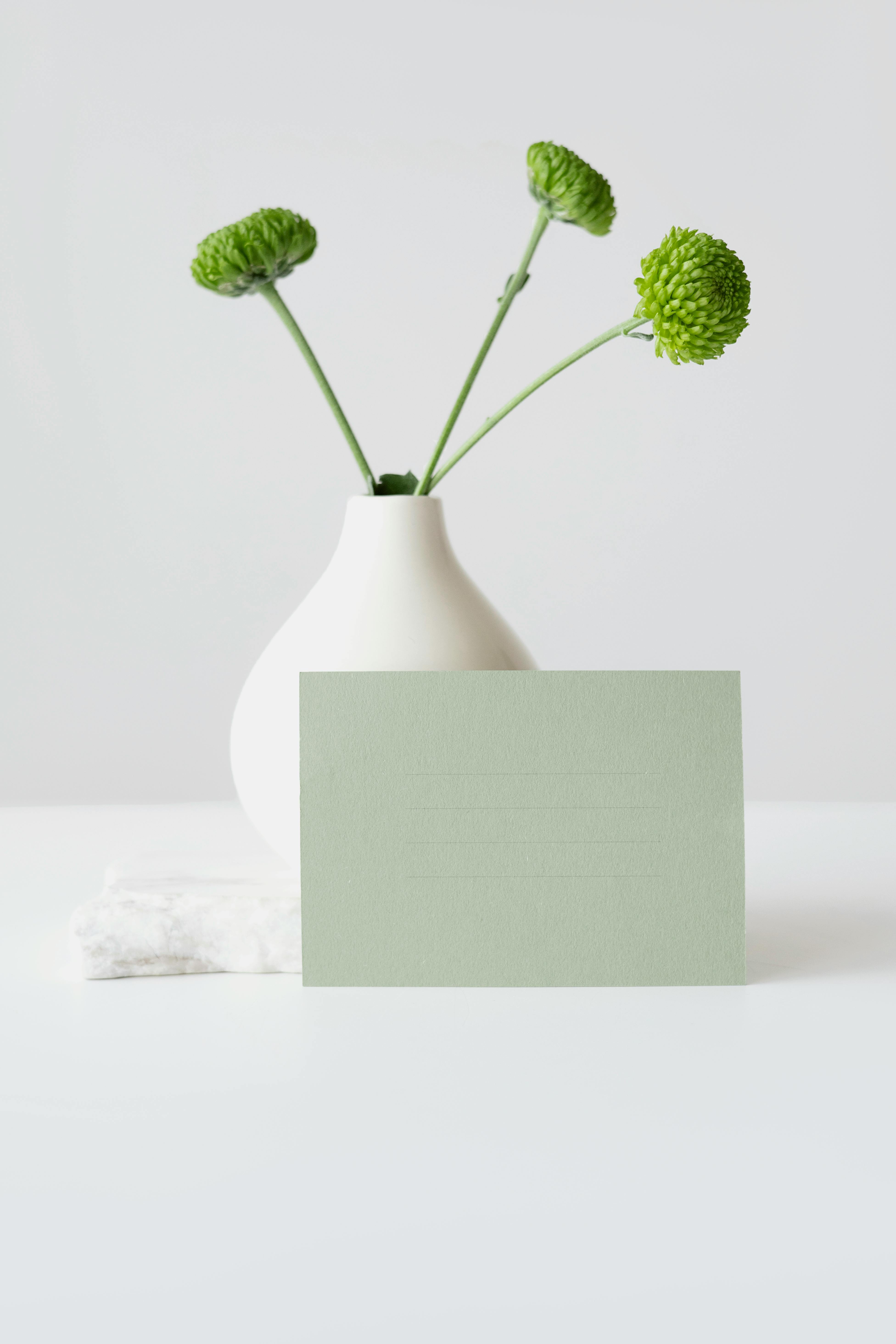 + Fotos y Imágenes de Flores verdes Gratis · Banco de Fotos Gratis + Fotos y Imágenes de Flores verdes Gratis · Banco de Fotos Gratis