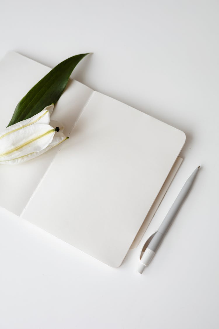 An Open Blank Notebook With White Flower On Top