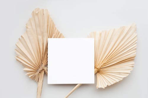 Blank White Paper on Dried Fan Palm Leaves