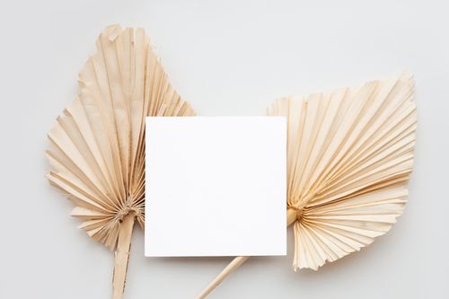 Free Minimalist composition featuring dried fan palm leaves and blank white paper on a neutral background. Stock Photo
