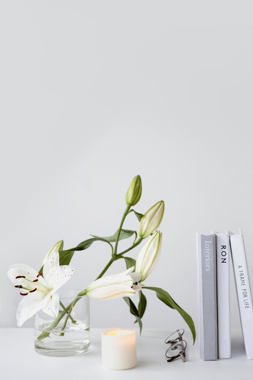 Foto profissional grátis de atraente, espaço do texto, floração