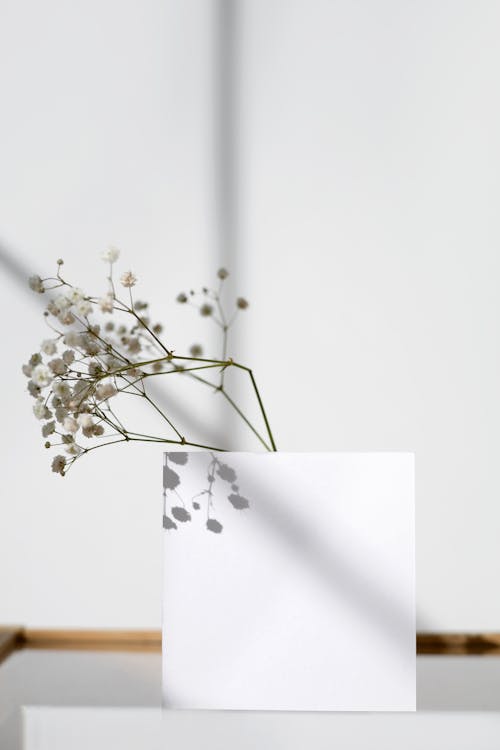 White Flowers Beside a Blank White Paper