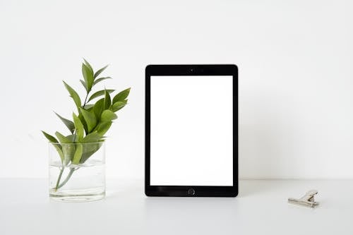 Бесплатное стоковое фото с белый экран, листья, макет