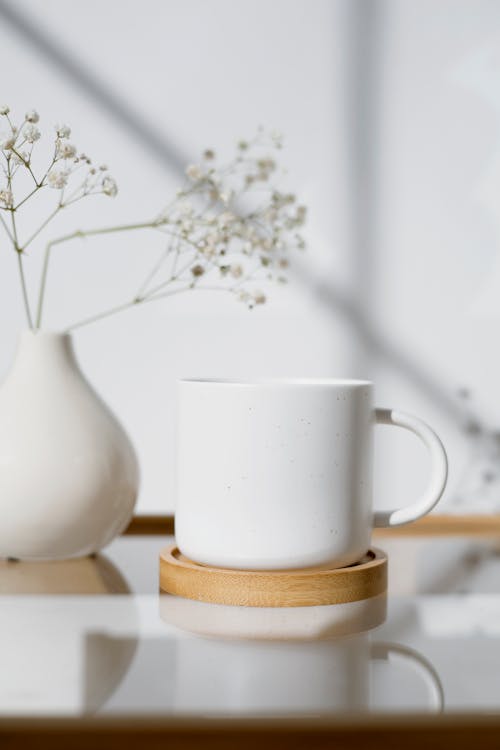 Free Cup and Vase with Plant Stock Photo