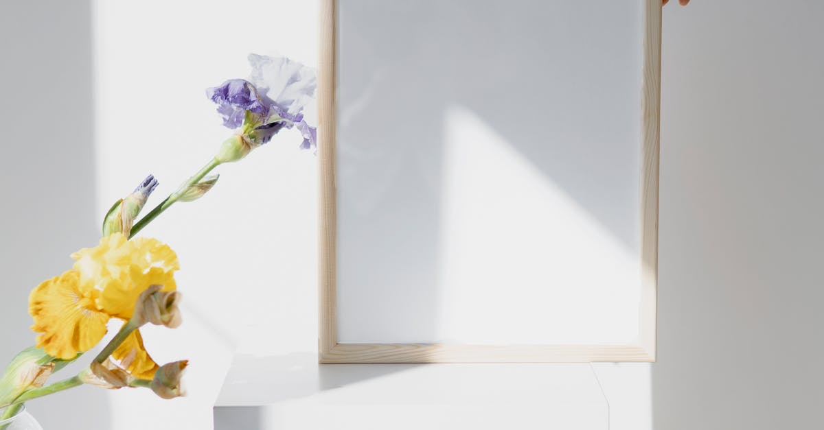 How to press flowers for frame