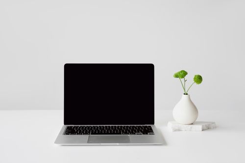 Free Simple and clean workspace featuring a laptop and a small vase with green flowers. Perfect for minimalists. Stock Photo