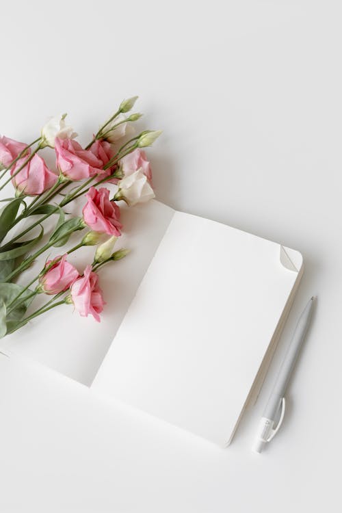 Free Pink and White Flowers on White Wooden Table Stock Photo