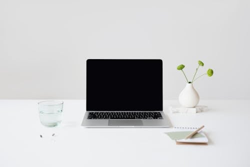 A Laptop Near the Drinking Glass and Plant on the Table