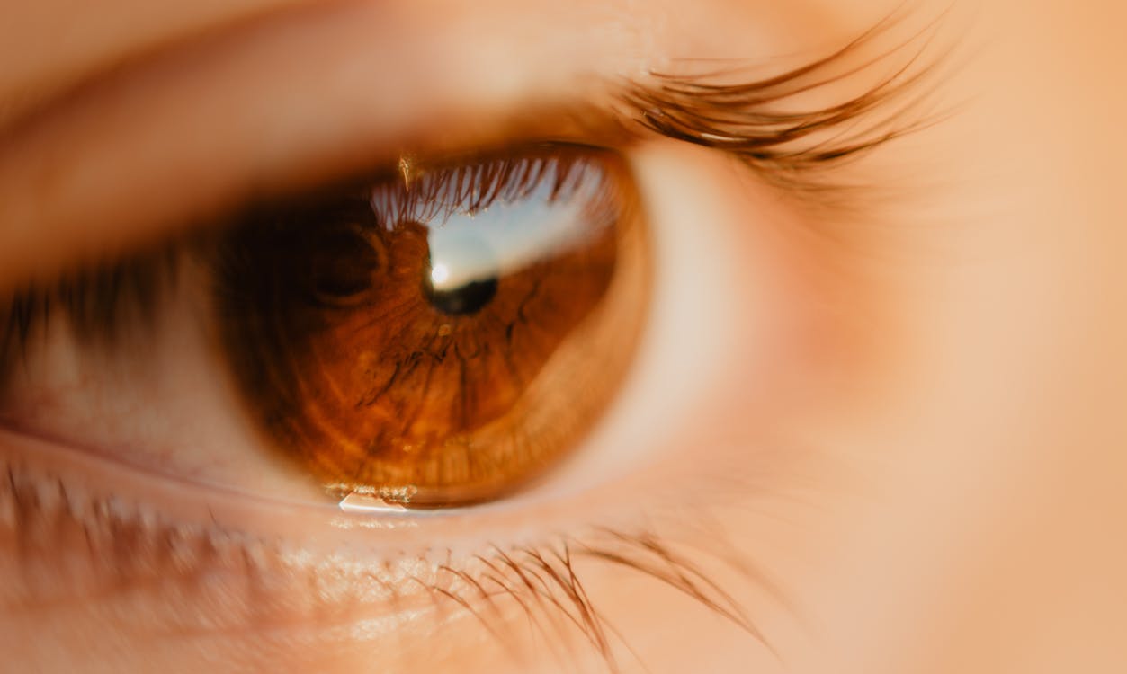 Free Close-up Photo of Unpaired Brown Eye Stock Photo