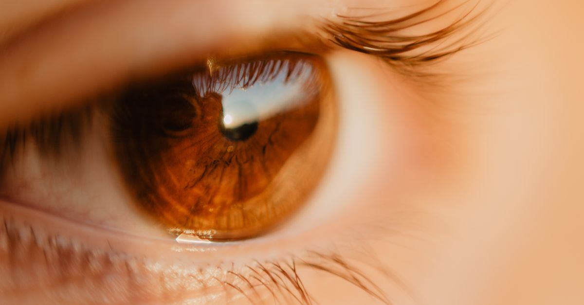 Age-Related Macular Degeneration: A Growing Challenge for Aging Americans